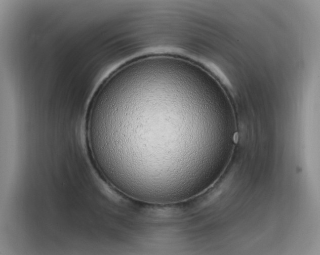 X0000113740895200909301009