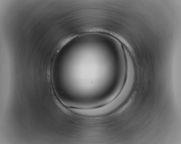 X0000113740897200909301009