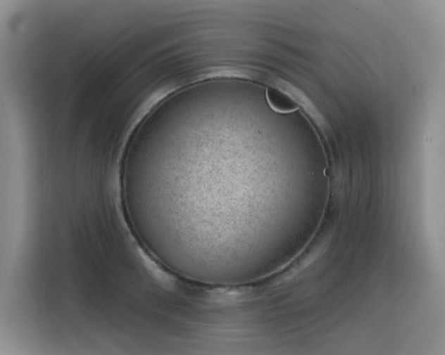 X0000113740898200909301009