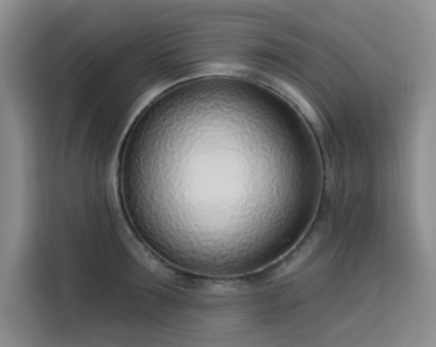 X0000113740899200909301009