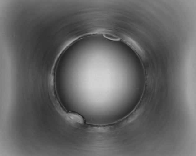 X0000113740900200909301009