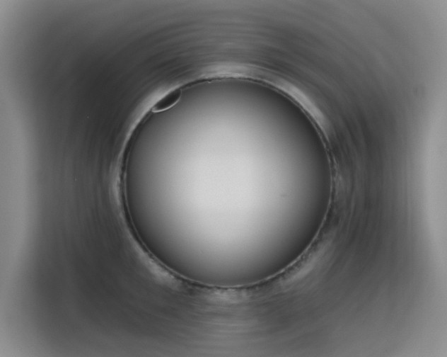 X0000113740901200909301009