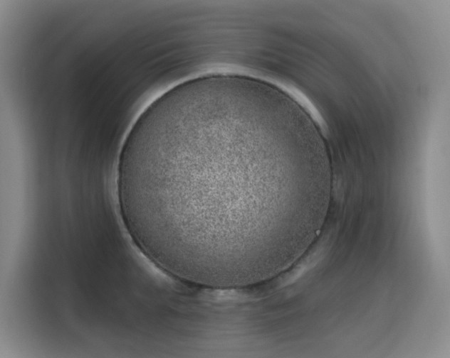 X0000113740903200909301009