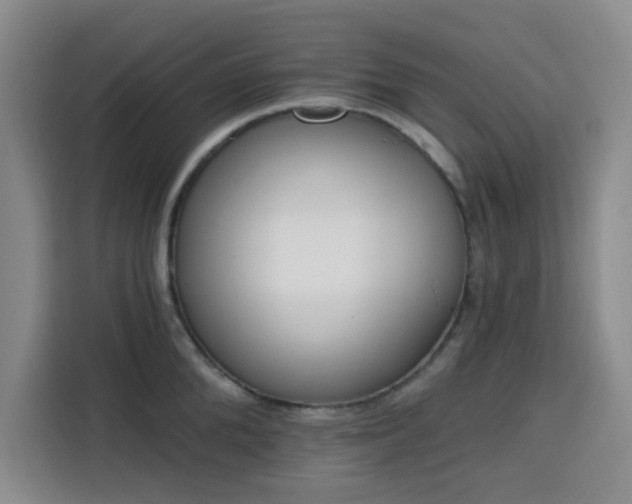 X0000113740904200909301009