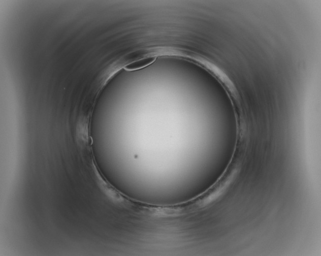 X0000113740905200909301009