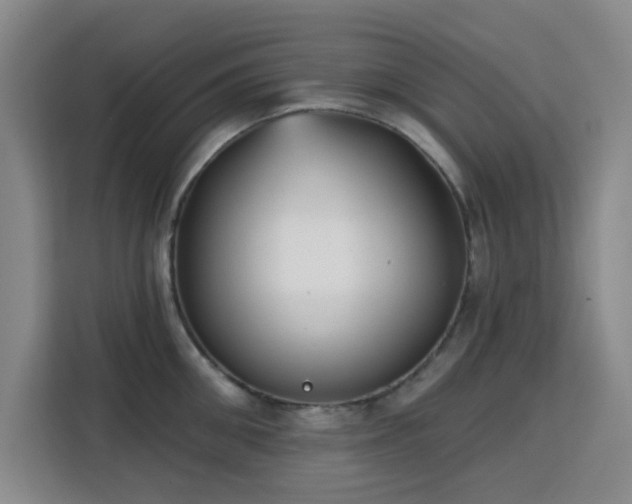 X0000113740906200909301009