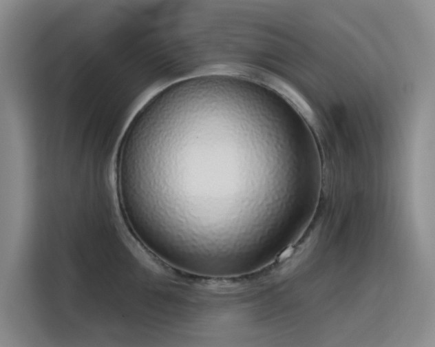 X0000113740907200909301009