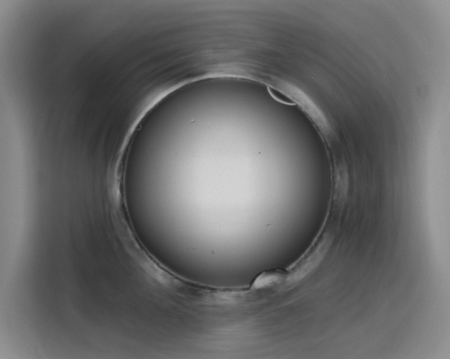 X0000113740908200909301009