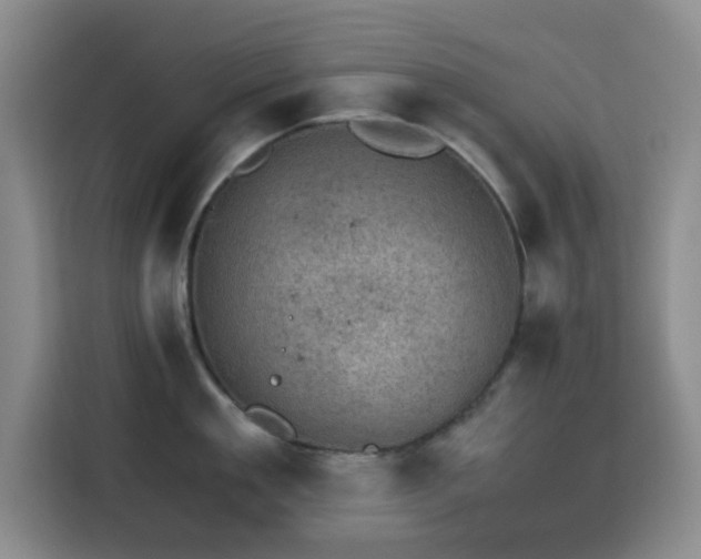 X0000113740909200909301009