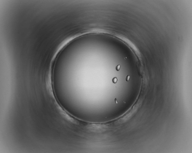 X0000113740910200909301009