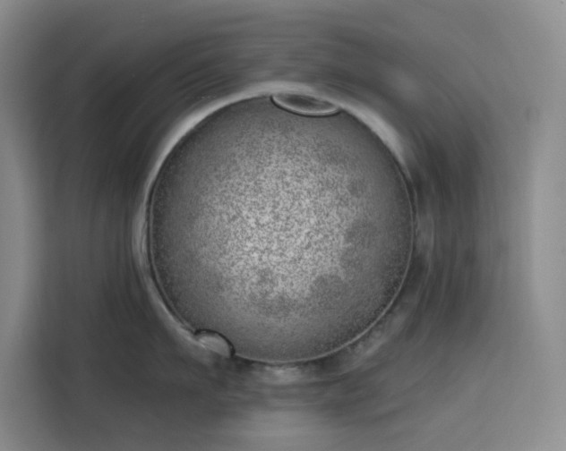 X0000113740911200909301009