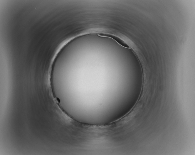 X0000113740912200909301009