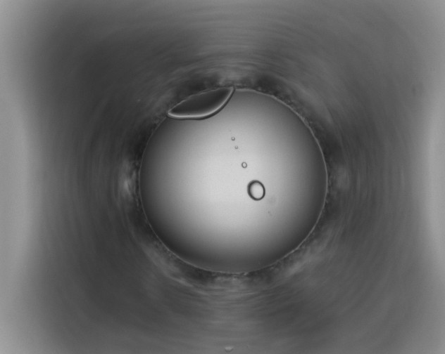 X0000113740914200909301008