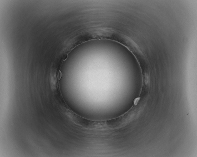 X0000113740915200909301008