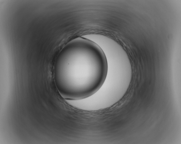 X0000113740916200909301008