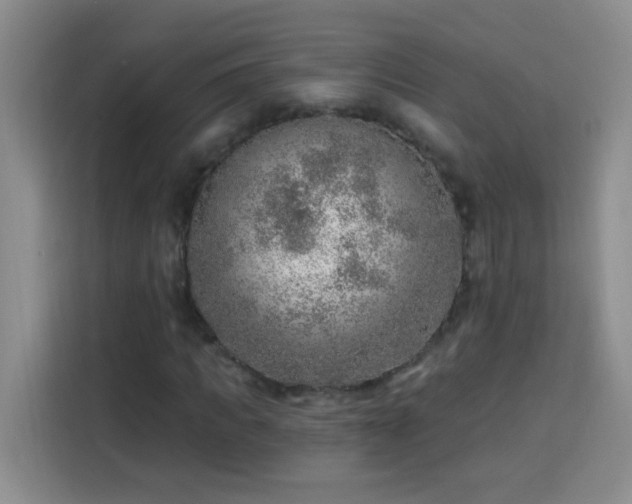 X0000113740917200909301008