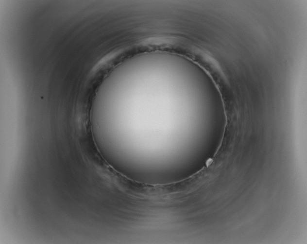 X0000113740920200909301008