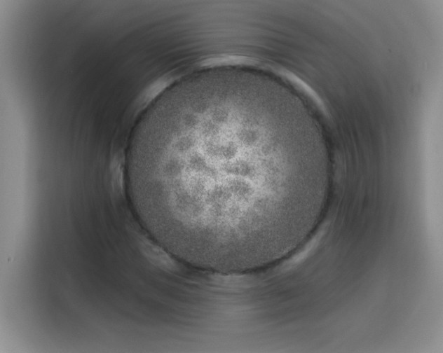 X0000113740921200909301008