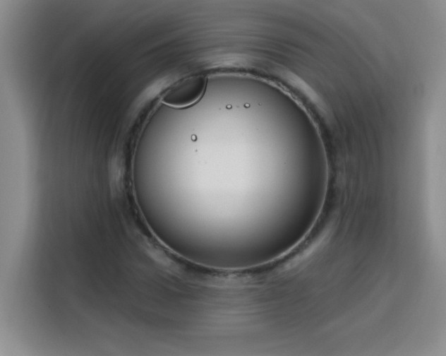 X0000113740922200909301008