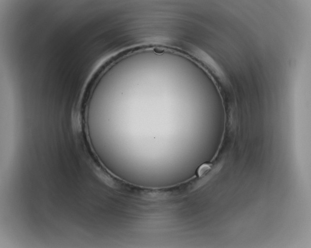 X0000113740924200909301008