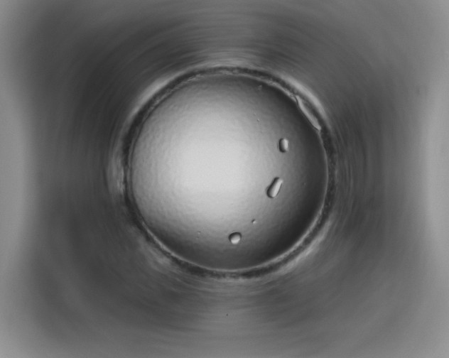 X0000113740925200909301008