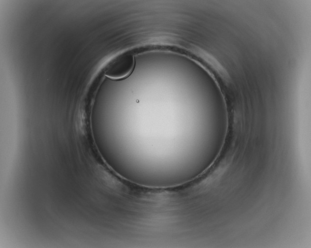 X0000113740926200909301008