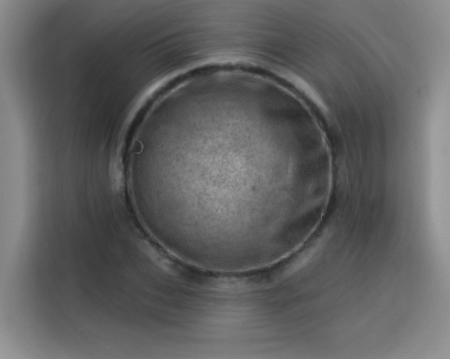 X0000113740927200909301008