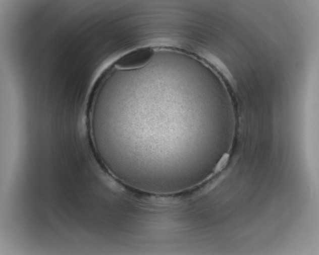 X0000113740928200909301008