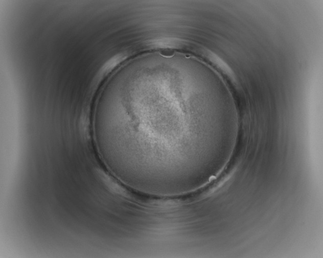 X0000113740930200909301008