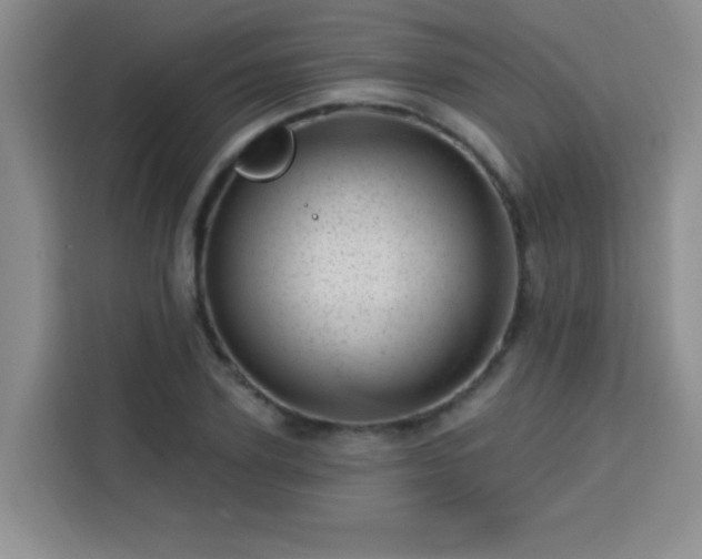 X0000113740931200909301008