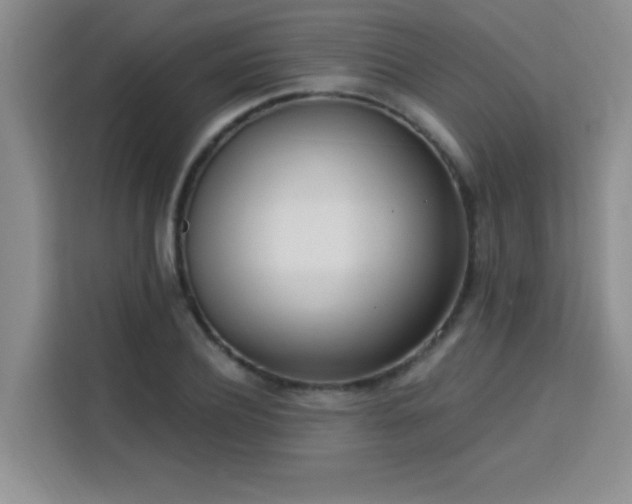 X0000113740932200909301008