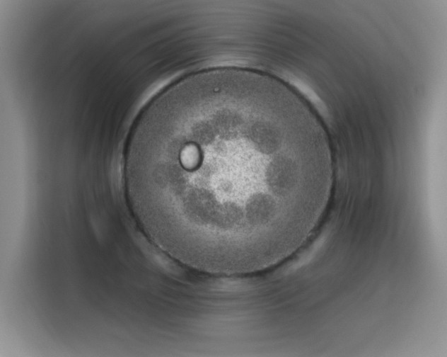 X0000113740933200909301008