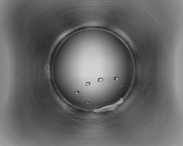 X0000113740935200909301008