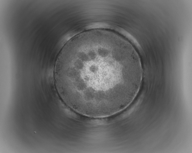 X0000113740937200909301008