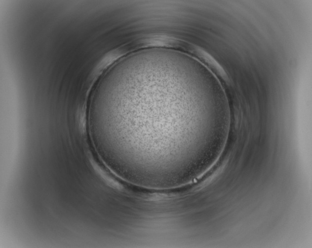 X0000113740938200909301008