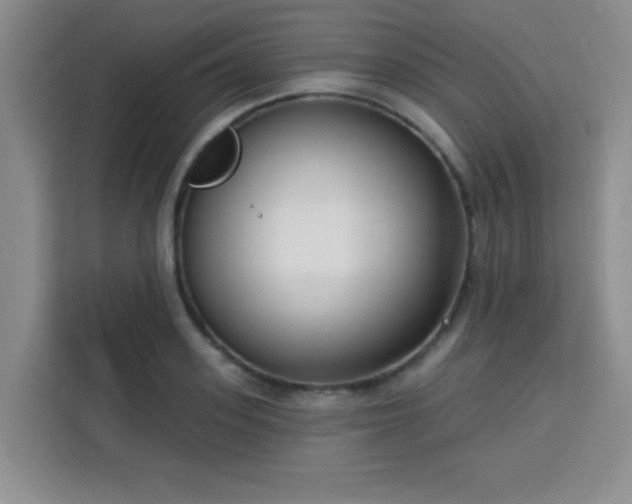 X0000113740939200909301008