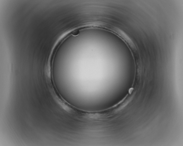 X0000113740940200909301008