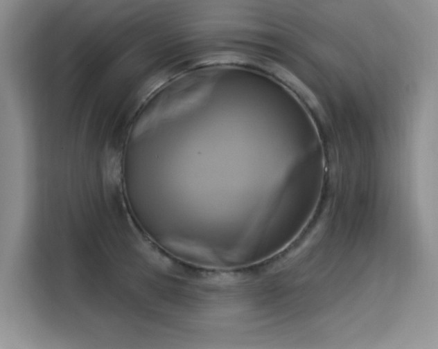 X0000113740945200909301008