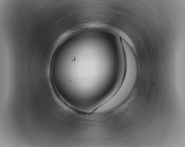 X0000113740946200909301008