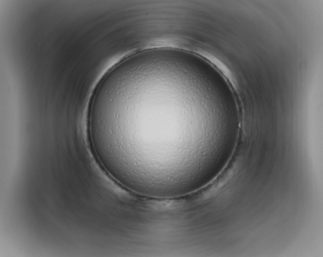 X0000113740949200909301008