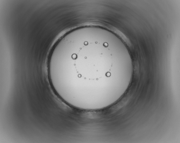 X0000113740950200909301008