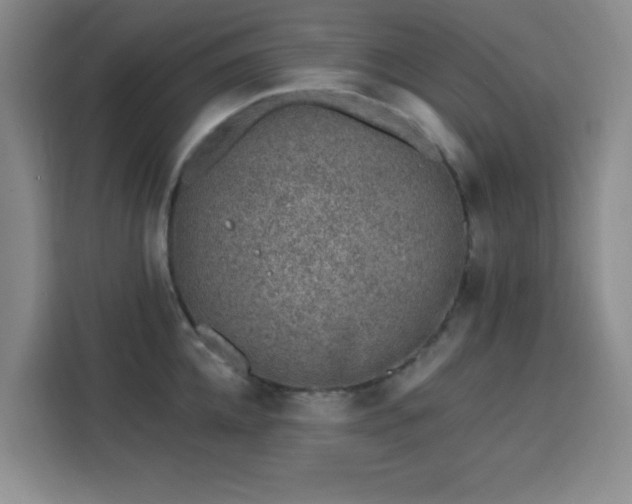 X0000113740952200909301008