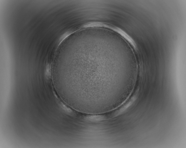 X0000113740953200909301008