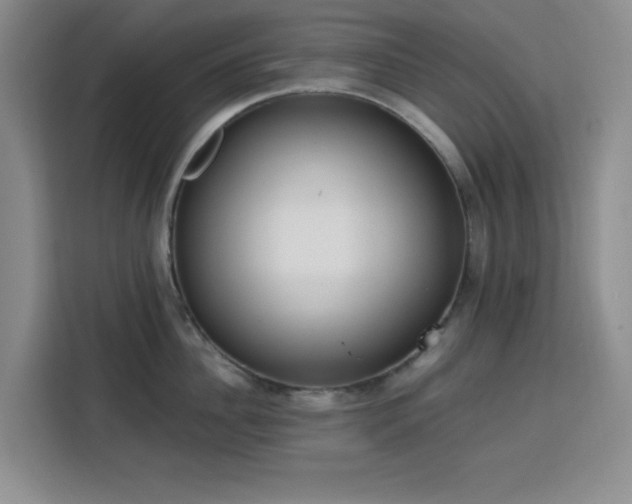 X0000113740956200909301008