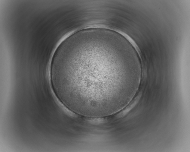 X0000113740957200909301008