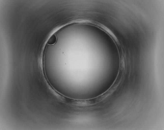 X0000113740959200909301008