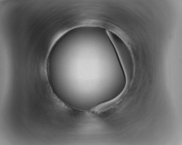 X0000113740960200909301009