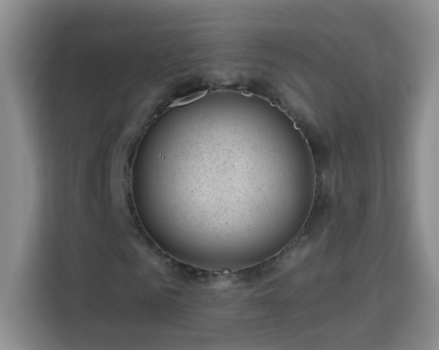 X0000113740961200909301008