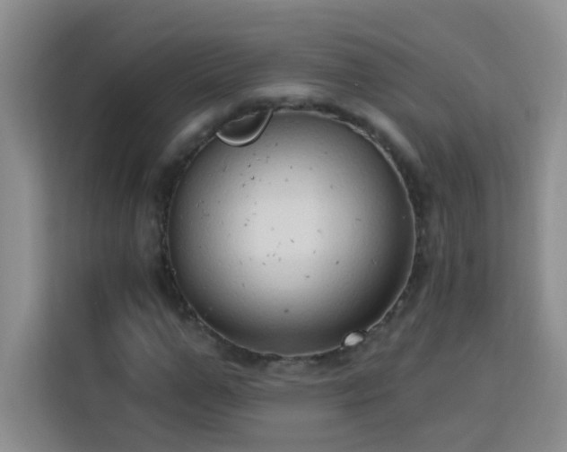 X0000113740967200909301008