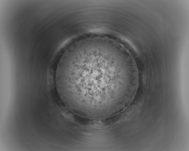 X0000113740968200909301008